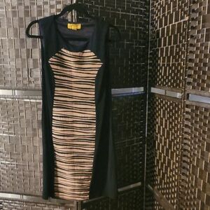 Stylish Black and Tan Striped Dress